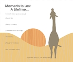 Moments To Last A Lifetime